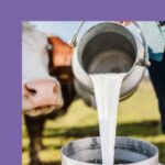 Milka Choco Sticks Palitos de Galleta Cubiertos de Chocolate con Leche de los Alpes, 112g - Imagen 6